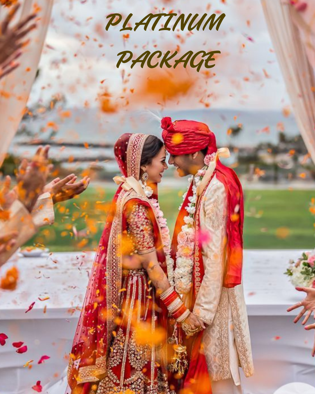 PLATINUM PACKAGE